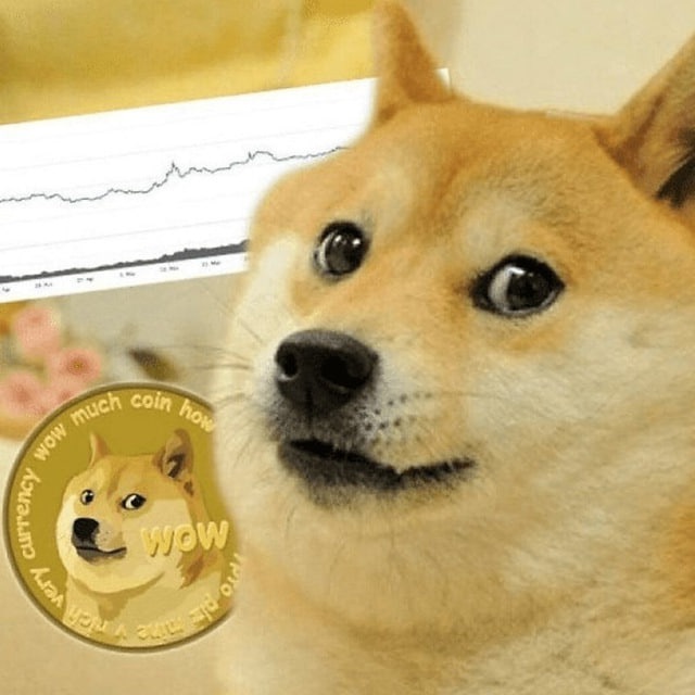 三马哥现货会员群